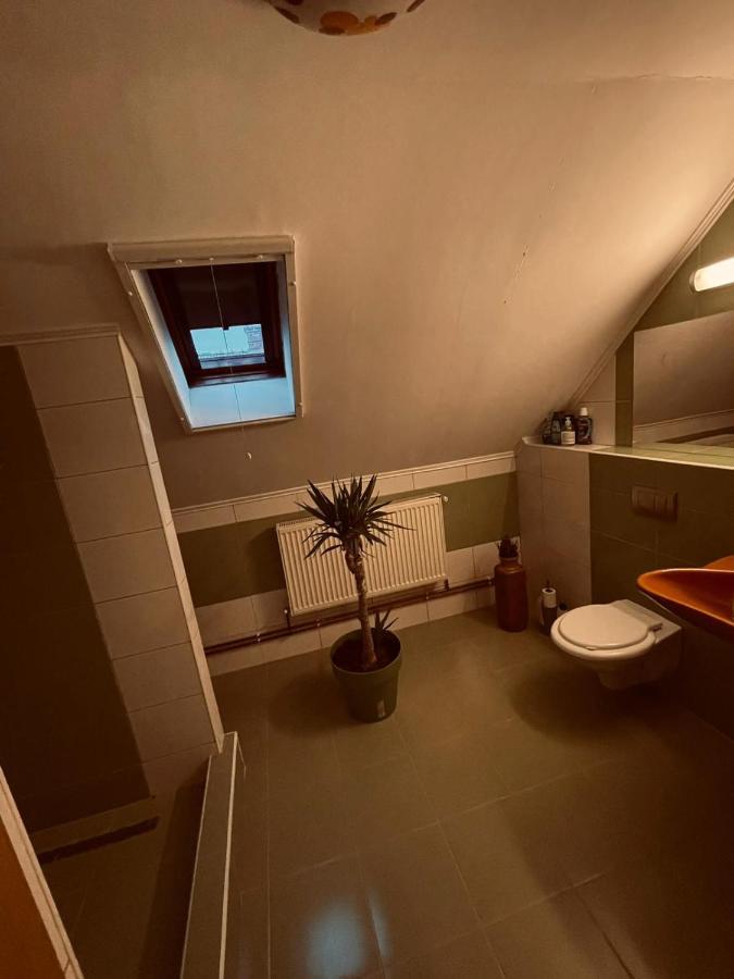 Casa Verde Foeni 외부 사진